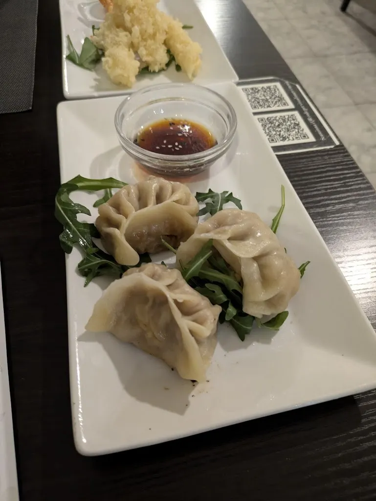 Ana Maria_Sushi Youmi_Nonantola_recensione