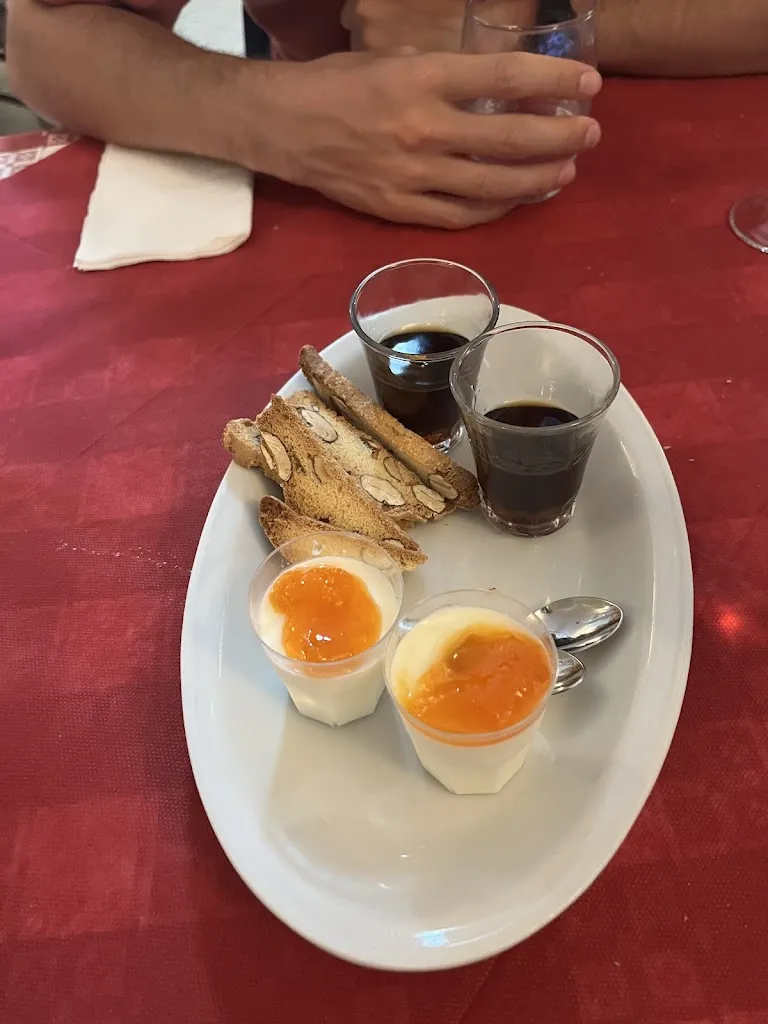 Marta Mantegazza_L'Olivastro_Pollutri_review