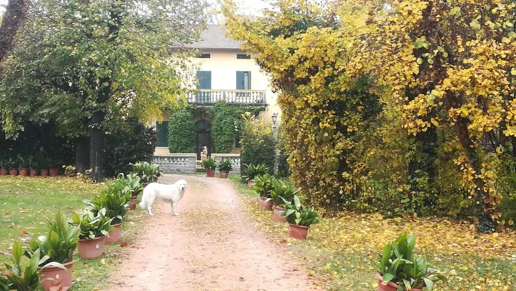 MODENA CATERING & BANQUETING_Nonantola_slider_image_3