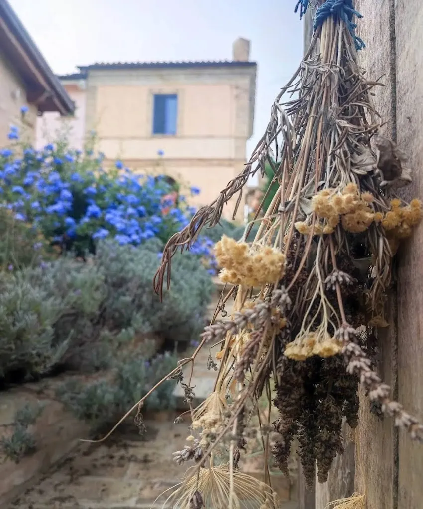 Bog Carmen_Abruzzo Lavanda_Pollutri_review