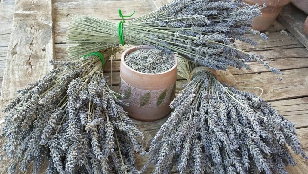 Abruzzo Lavanda restaurant in Pollutri