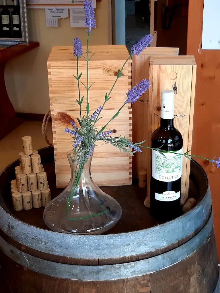 Cantina Sociale S. Nicola ristorante a Pollutri