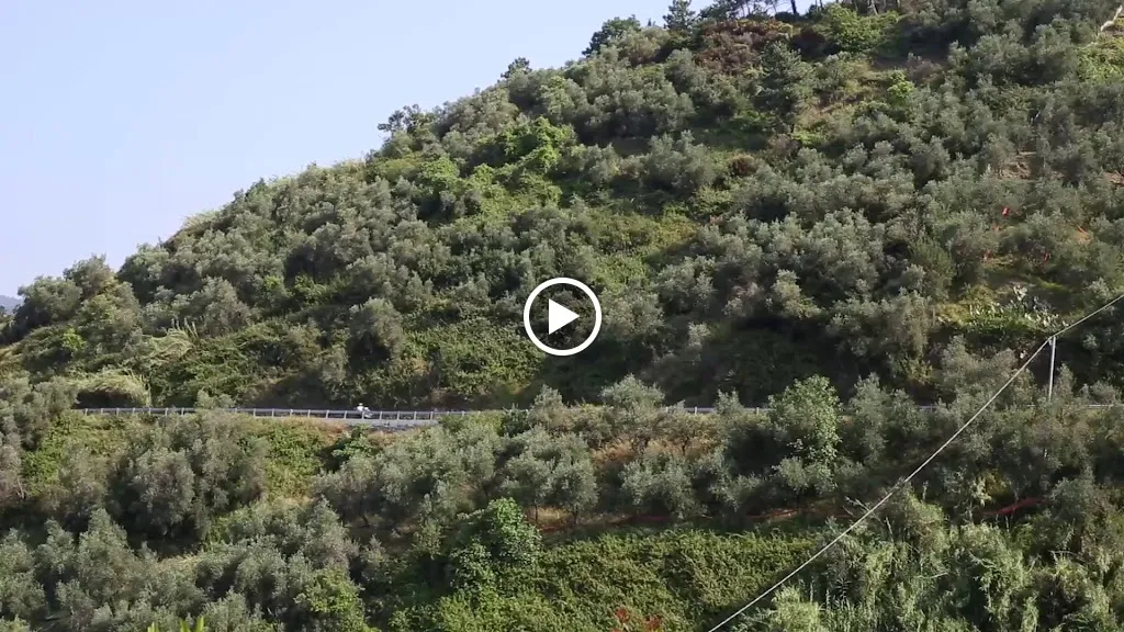 La Sosta di Ottone III_Ottone_slider_image_2