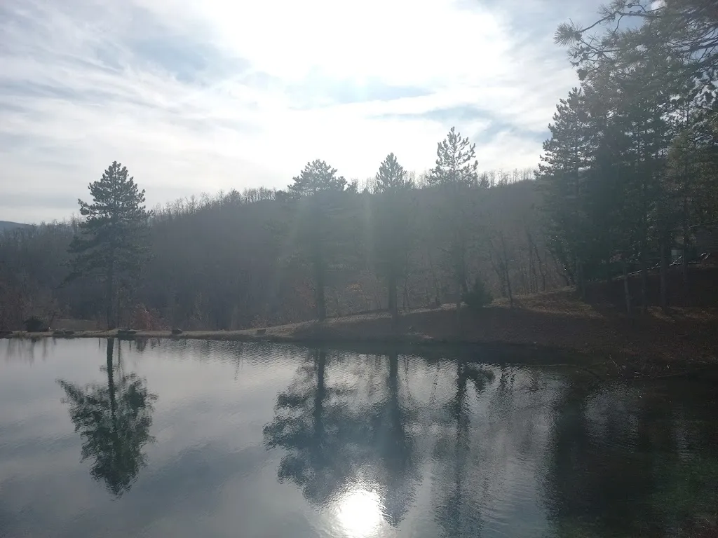 Sandra “SandraFP” FP_Azienda Tre Laghi e Terre Alte_Palanzano_review