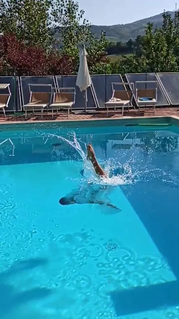 Ristorante Albergo Lago Verde_Pennabilli_slider_image_2