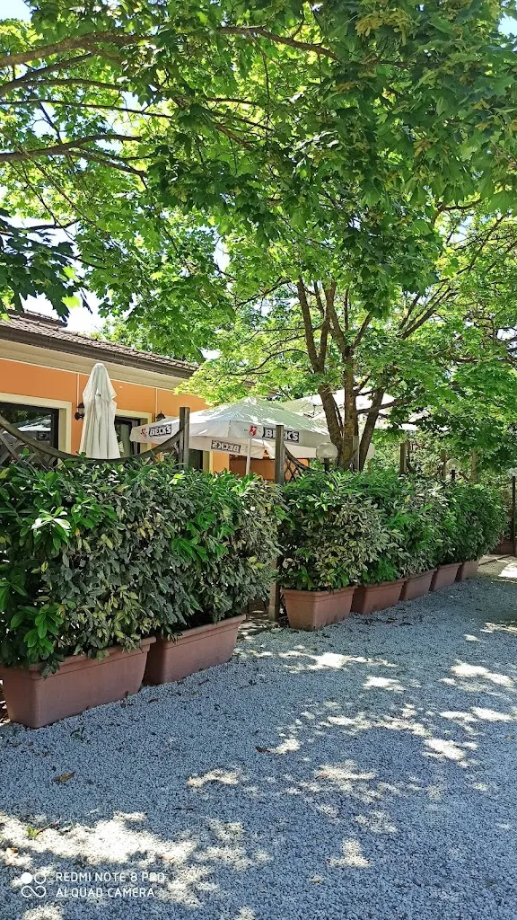 patrizia leardini_Re Mida Bar - Trattoria - Pizzeria - Affittacamere_Pennabilli_review