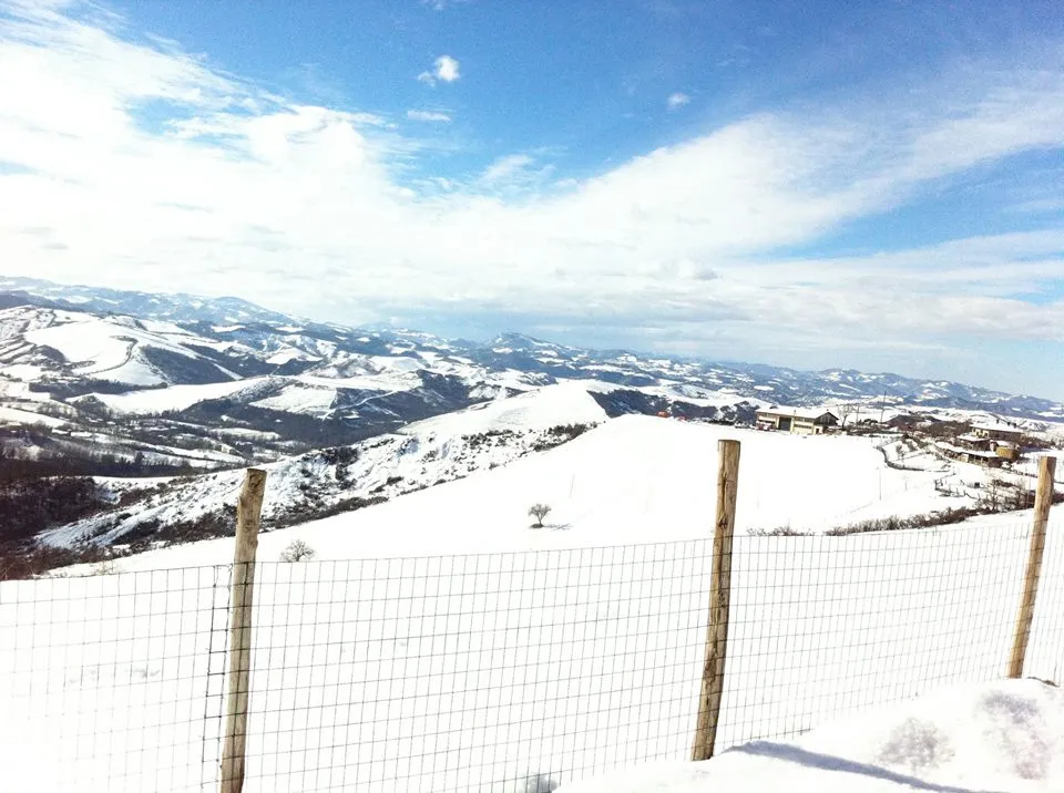 Osteria La Palazzina_Ozzano dell'Emilia_slider_image_3