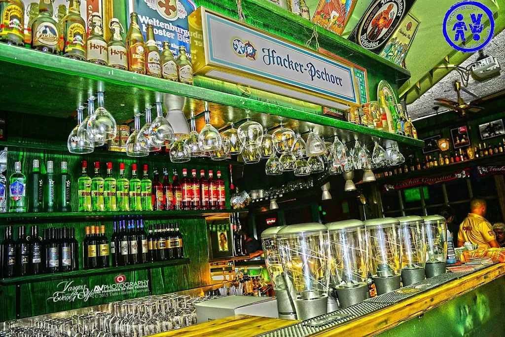 Monelli ristorante discopub karaoke_Ozzano dell'Emilia_slider_image_1