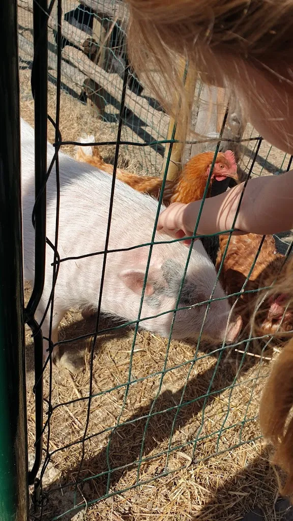 PrimaLash Lashes_Dulcamara_Ozzano dell'Emilia_recensione