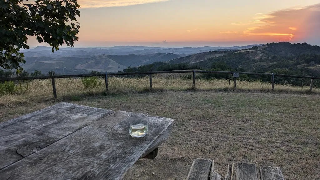 david foskett_Dulcamara_Ozzano dell'Emilia_recensione