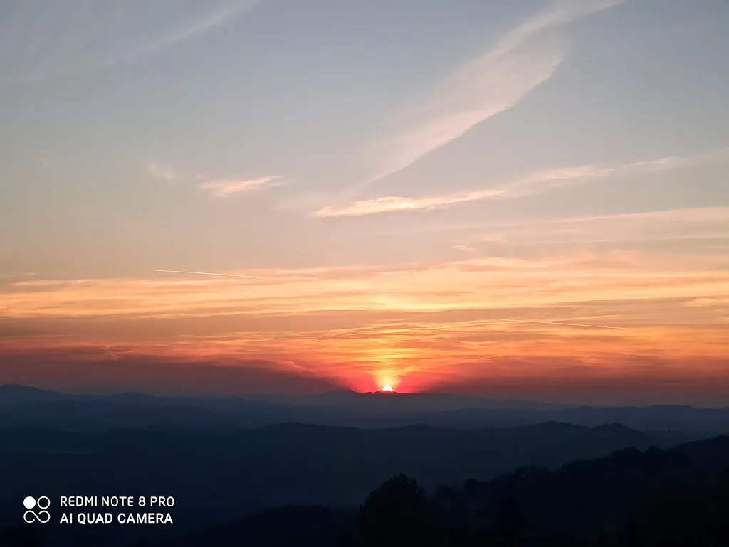 Max C_Dulcamara_Ozzano dell'Emilia_recensione