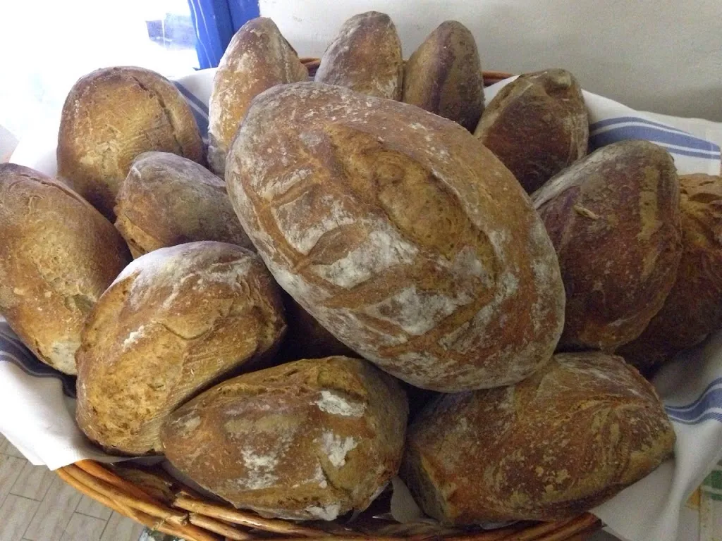 Dulcamara_Ozzano dell'Emilia_slider_image_2