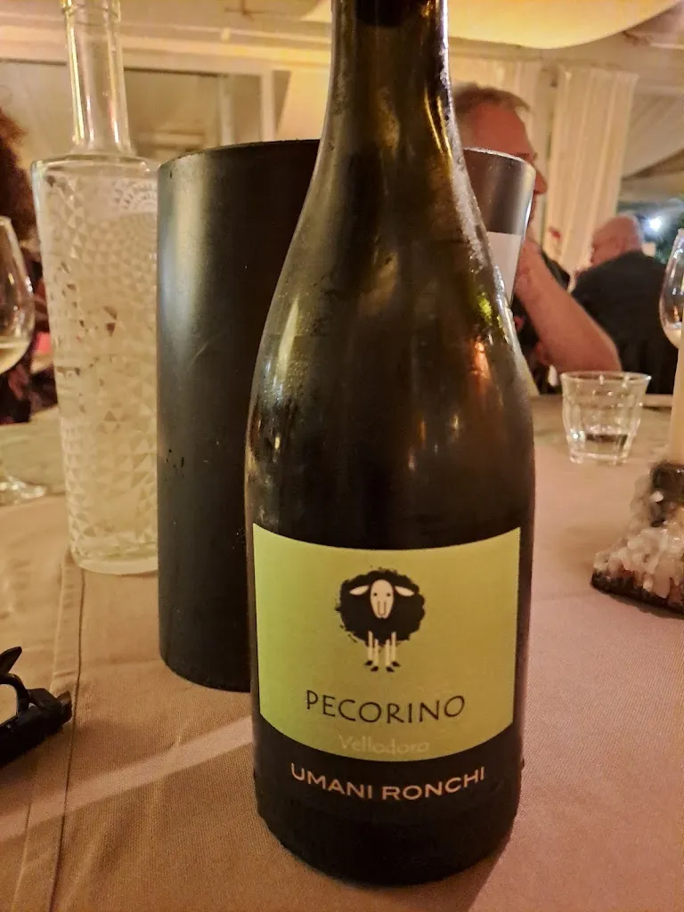 Menu_Ristorante VecchiaCanala Bistrot_Piangipane_image_6