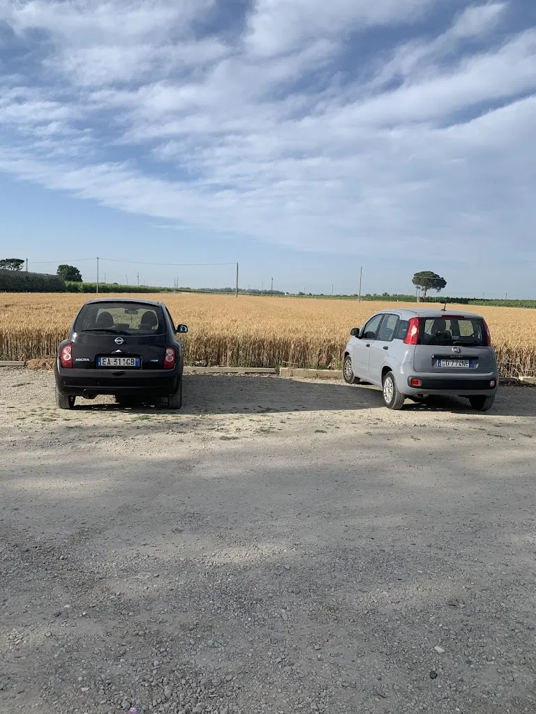 Narin S. _Casale Falasco_Piangipane_review