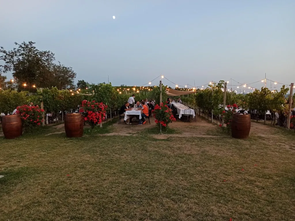 Raya Moghrabi_Podere Riosto_Pianoro_review