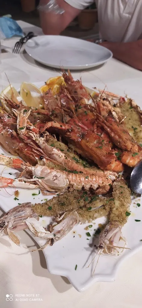 Menu_La Tortuga_Pianoro_image_6