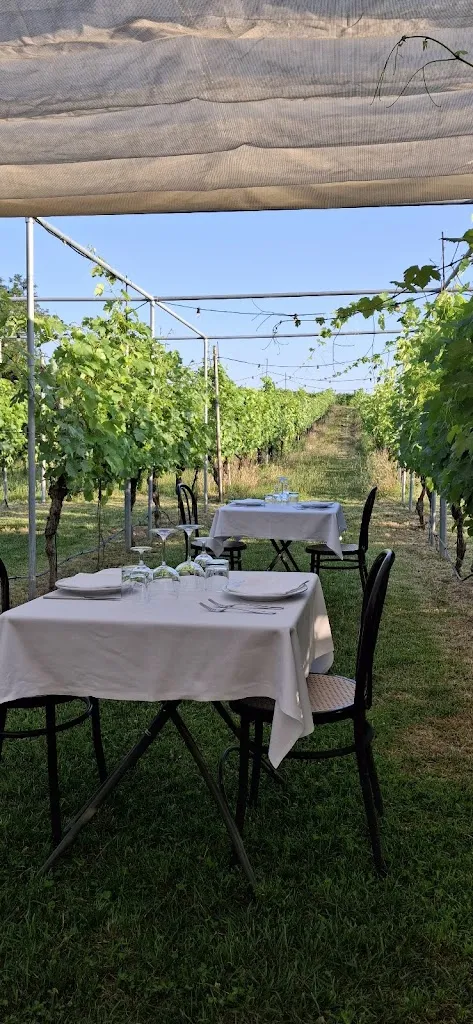 Arthur Audino_PODERE RIOSTO cantina, cene in vigna ed eventi_Pianoro_review