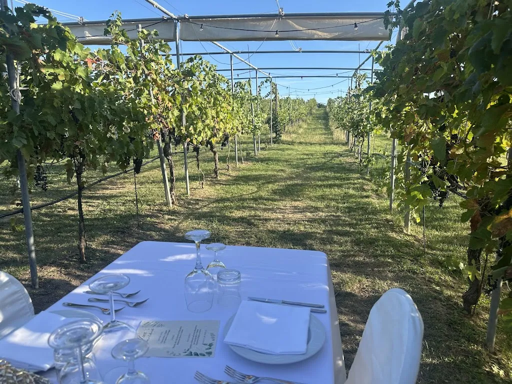 PODERE RIOSTO cantina, cene in vigna ed eventi_Pianoro_slider_image_3