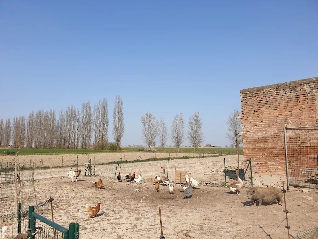 Lorenzo Gorini_Ristorante - agriturismo Grill Park Ferrara: cucina tipica di carne e pesce alla brace, pasta e dolci di nostra produzione_Poggio Renatico_review