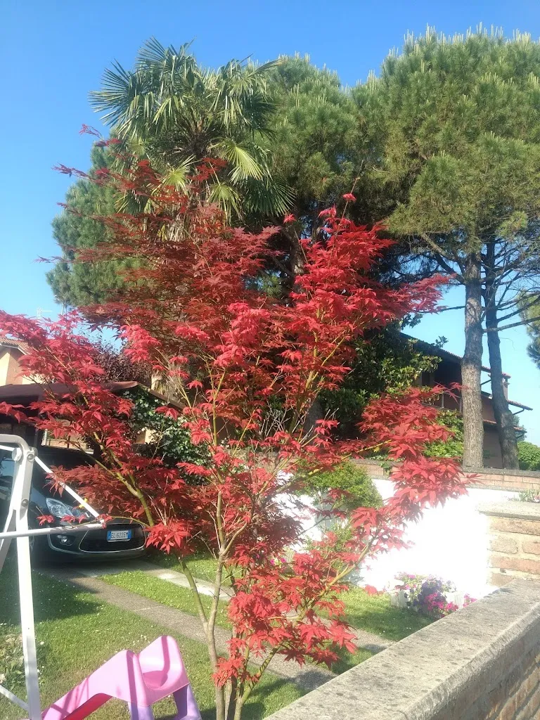 Bar Cirul_Pontegradella_slider_image_3