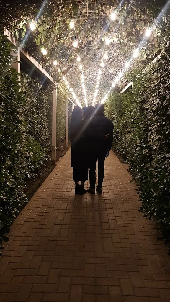 Kakoli Roy_Saretina 152_Pinarella_recensione