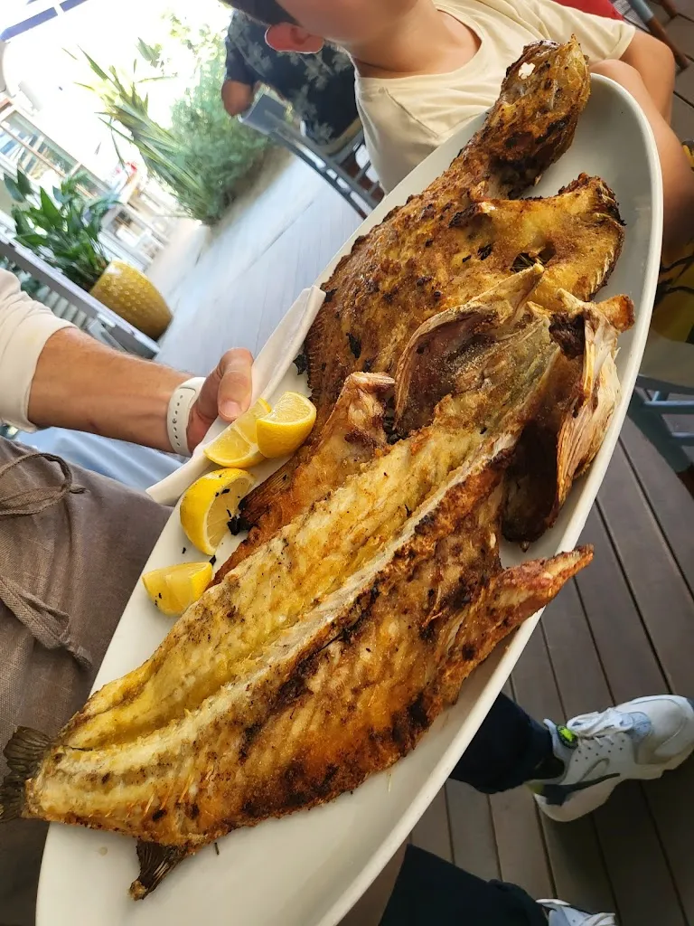 Dunamis Palosh_Saretina 152_Pinarella_recensione