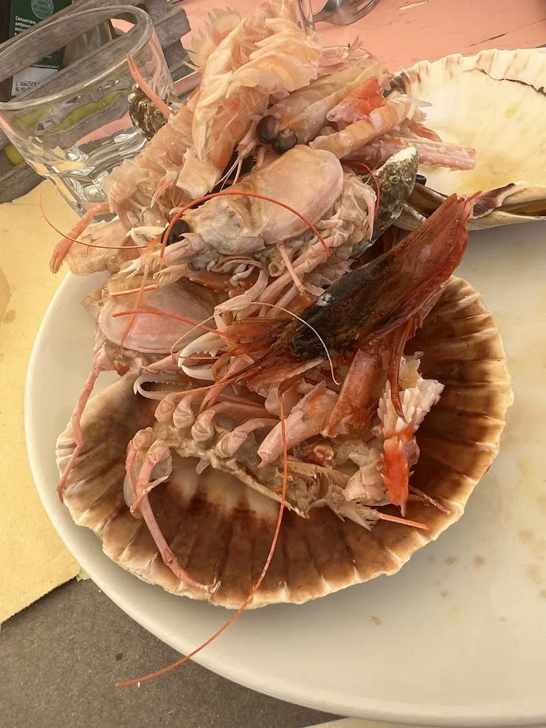 salvatore brunetti_Tre Stelle 80_Pinarella_review