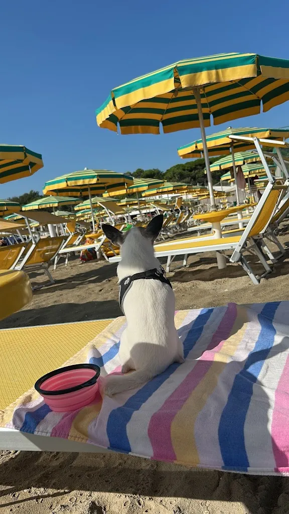 Silvia_Tre Stelle 80_Pinarella_review