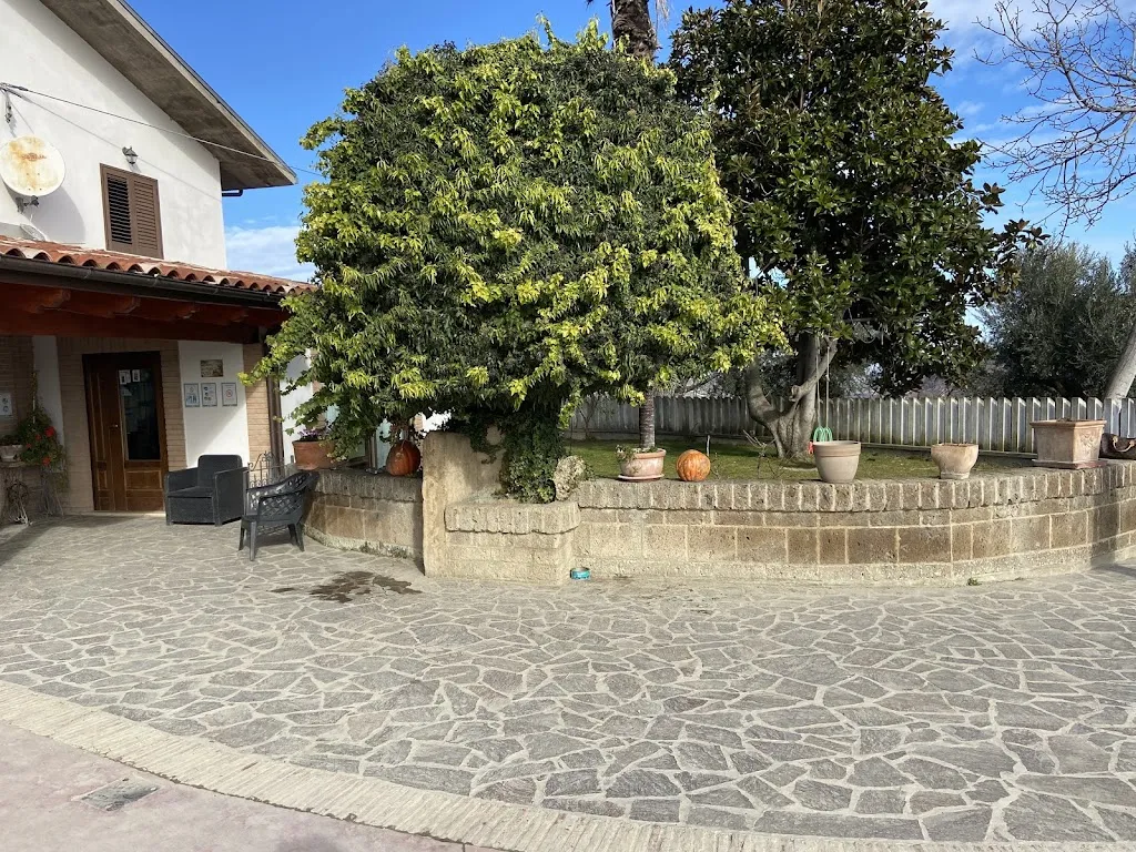 La Collina dei fichi restaurant in Bisenti