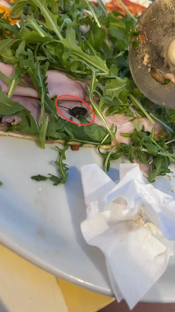 Szop Pracz_Stuzzicheria Romagnola_Pinarella_Bewertung