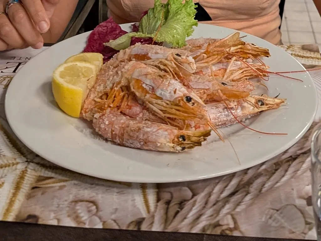 Re Sale_Pinarella_slider_image_3