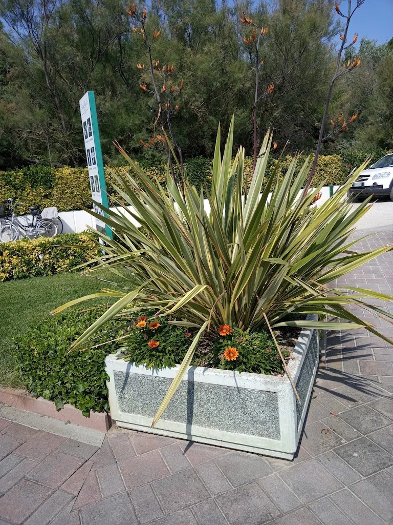 Mara Gallerani_Bagno Paola_Pinarella_review