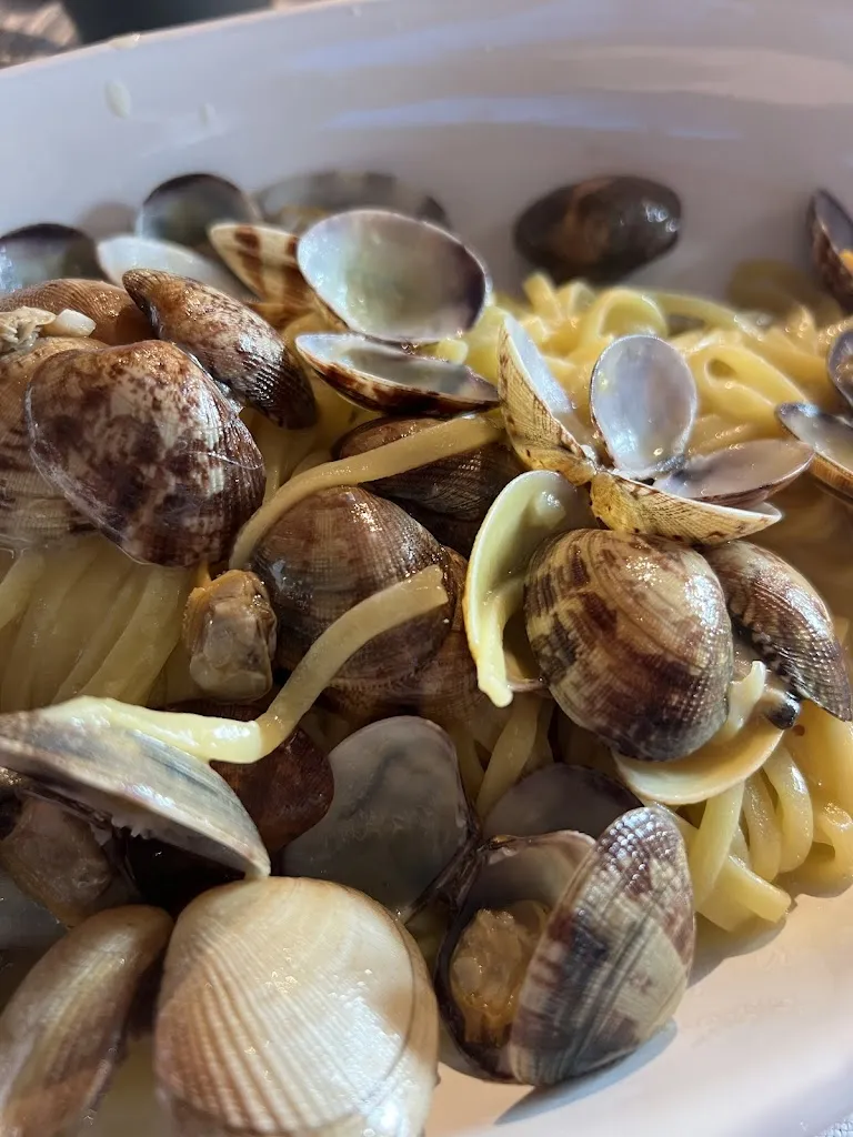 Onat Kibaroglu_Darsena del Sale_Pinarella_review