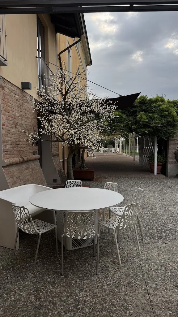 Anastasiia Siryk_Villa Costanza_Pontenure_review