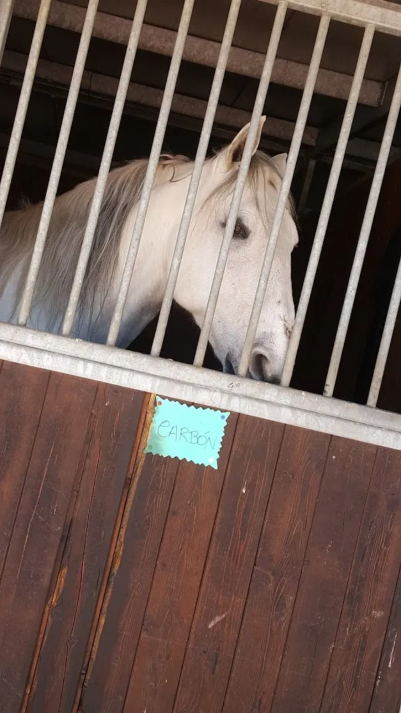 Marysol Ciraldo_Naxos Ristorante & Pizzeria_Pontenure_review