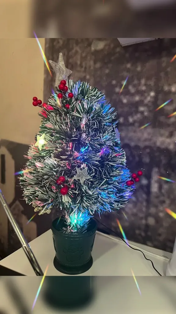 L' Äs Ćal Vula_Pontenure_slider_image_2