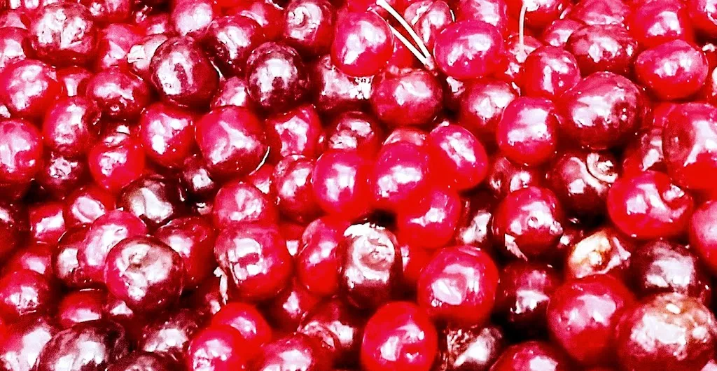 Menu_Mil Sabores_Pontenure_image_4