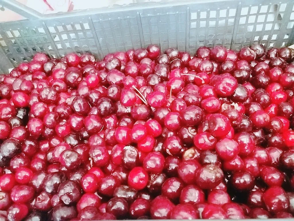 Menu_Mil Sabores_Pontenure_image_9