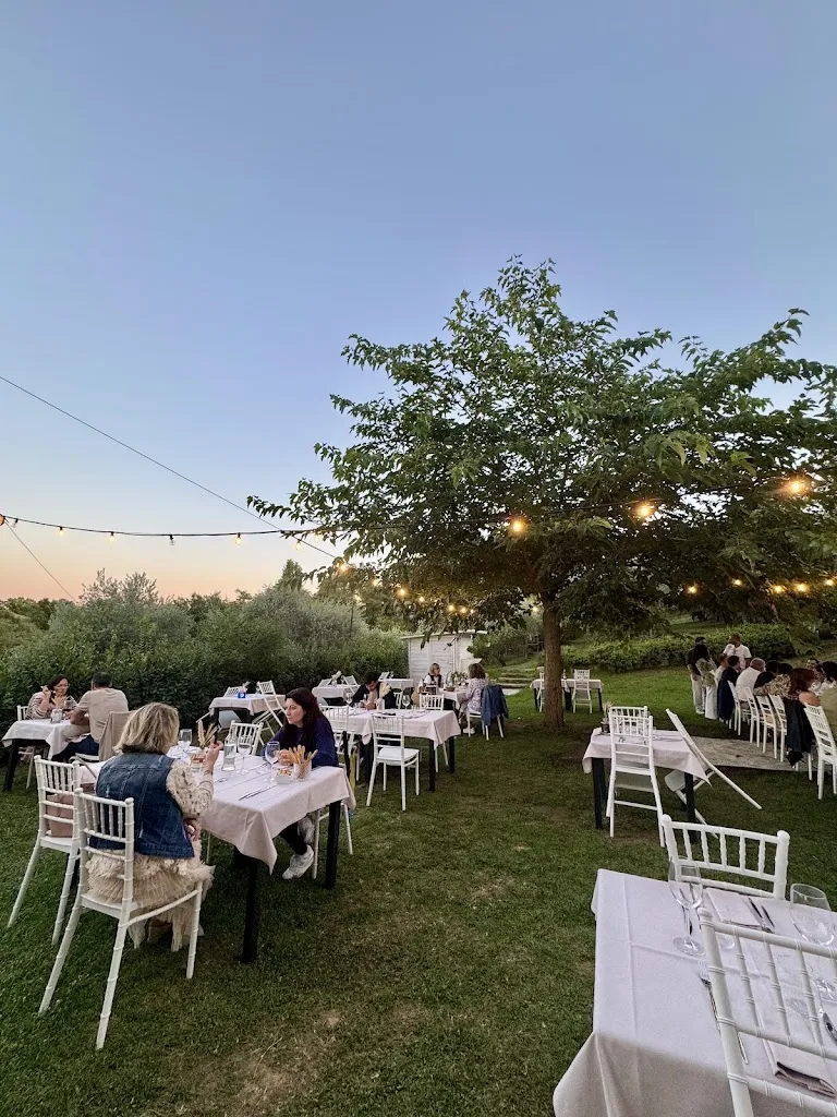 Carlotta Mei_Corte Dell'abbadessa_Ponticella_review