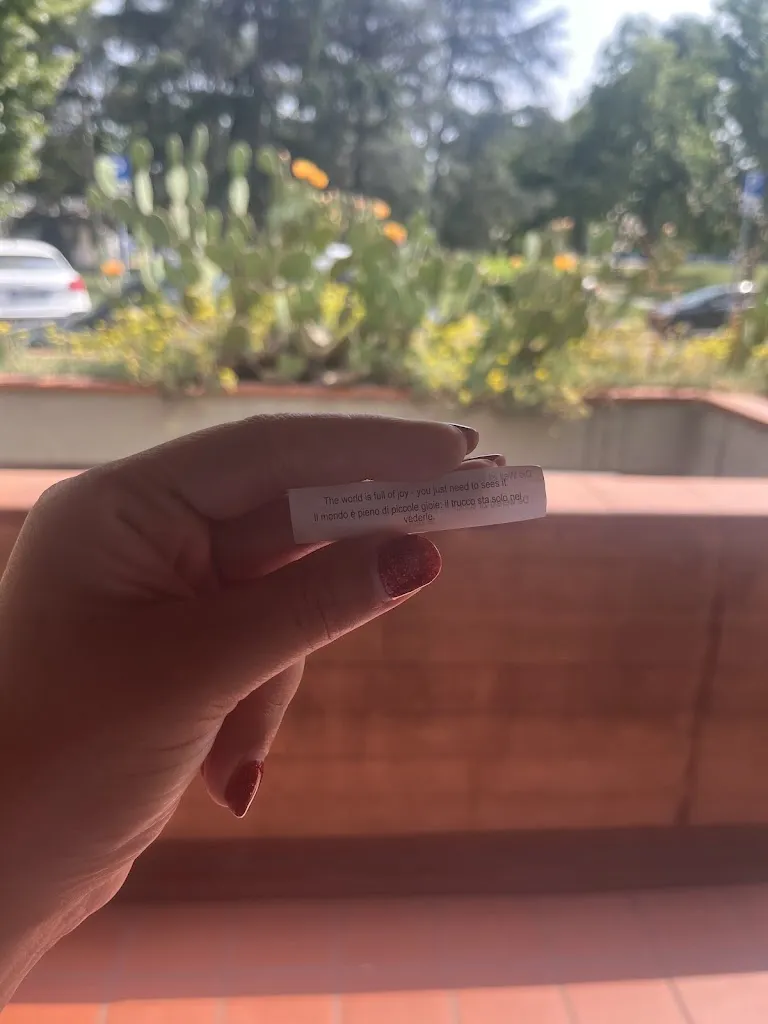 Ida Kamali_Sapory Original Oriental Food - All you Eat!!!!_Ponticella_avis