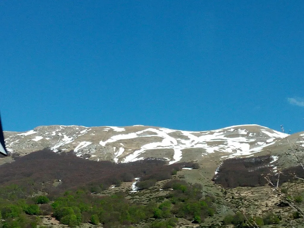 La Rosa Di Napoli Di Alleanza Rosa_Pratola Peligna_slider_image_2