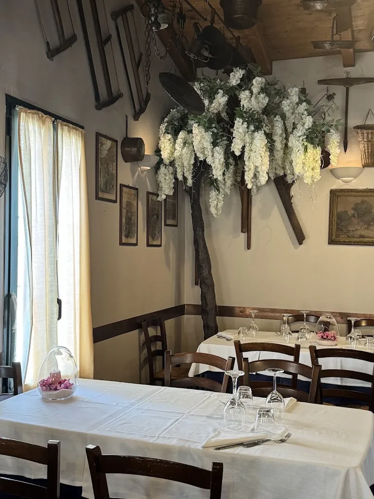 Mori E Ballabeni restaurant in Poviglio