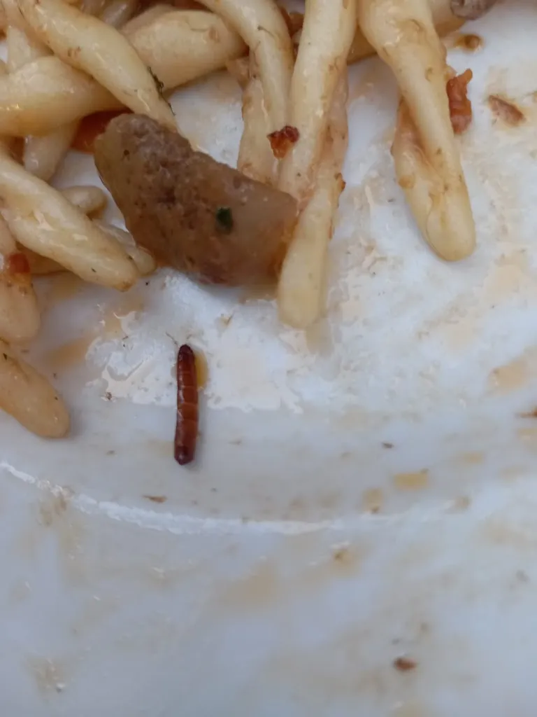 Karim El Kholy_Ristorante Pizzeria Bar Il Granaio_Premilcuore_review