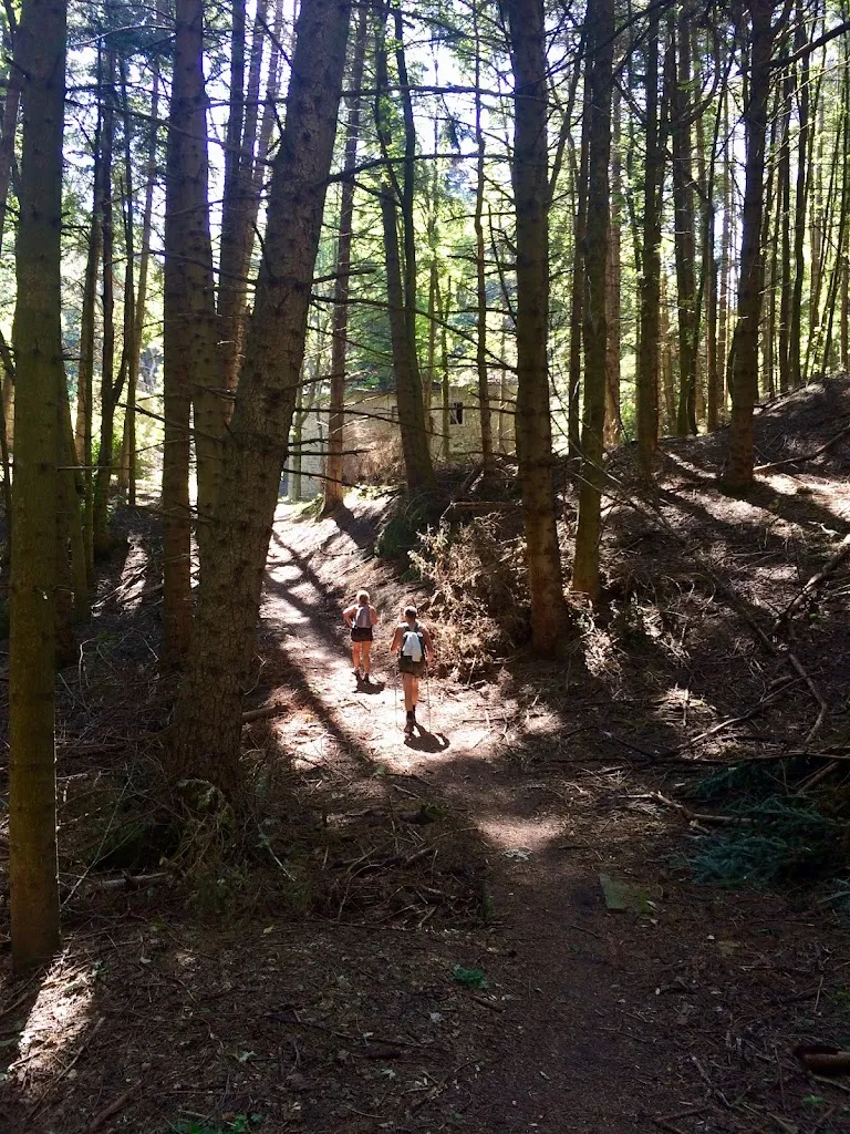 Denis C._Cascata Urlante a Premilcuore_Premilcuore_review