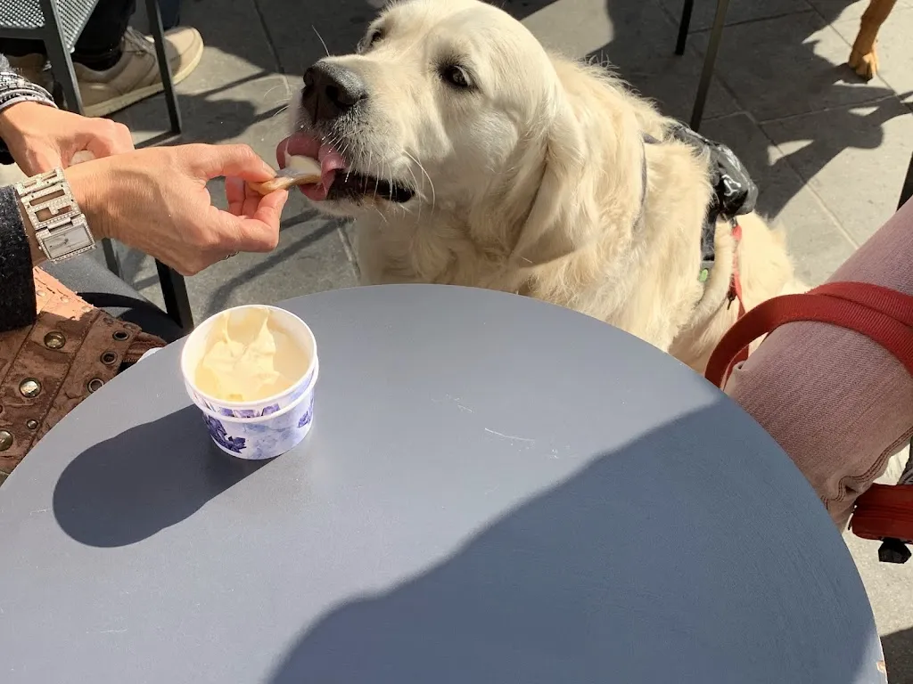 l'era glaciale_Portomaggiore_slider_image_3