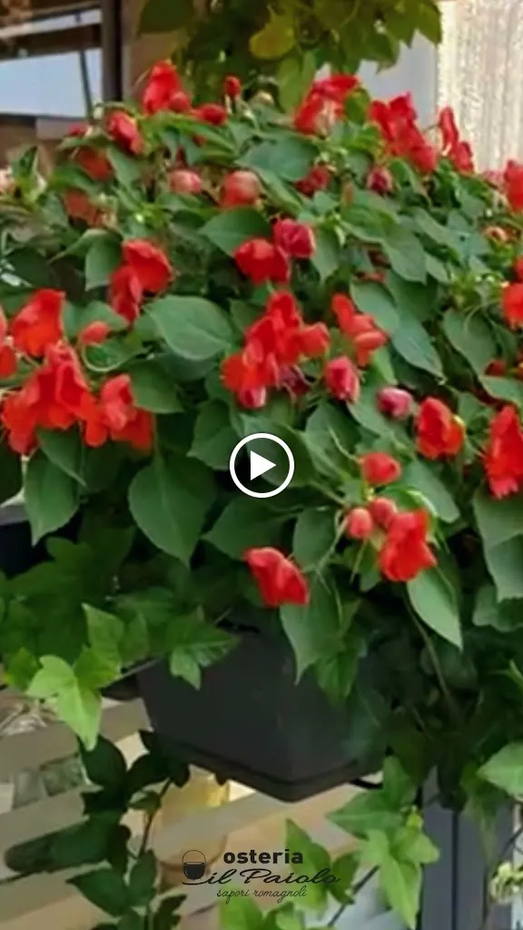 Osteria Il Paiolo_Provincia di Ravenna_slider_image_2