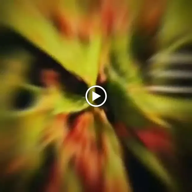 Ristorante Gallo d'Oro_Provincia di Parma_slider_image_2