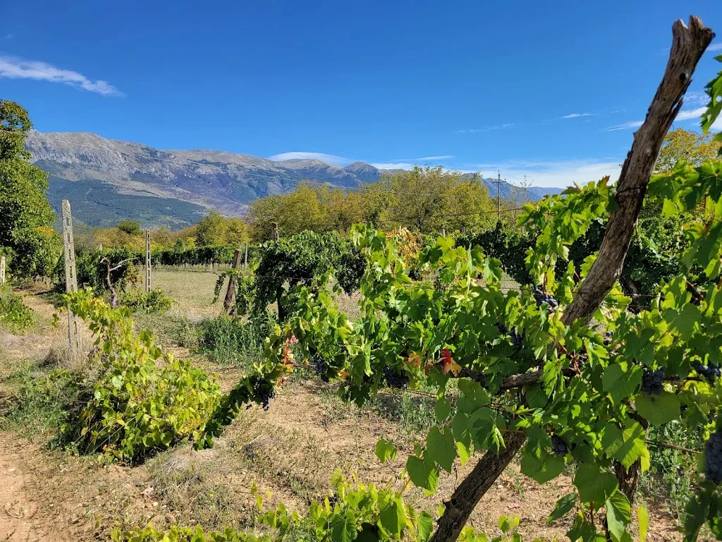 Cantina Margiotta_Pratola Peligna_slider_image_3