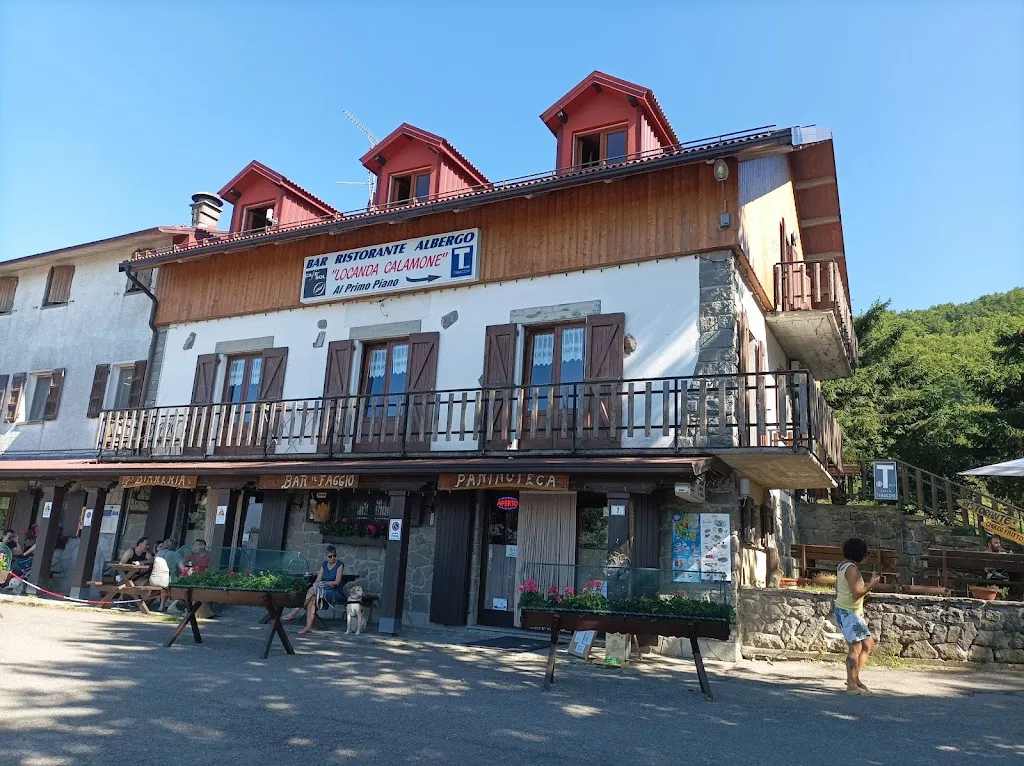 Meltem A._Locanda Calamone_Ramiseto_review