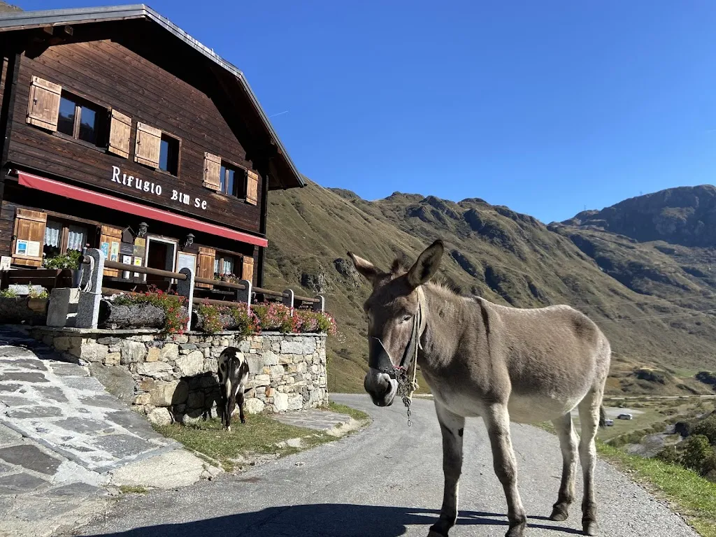 Rifugio Bim Se_Riale_slider_image_1